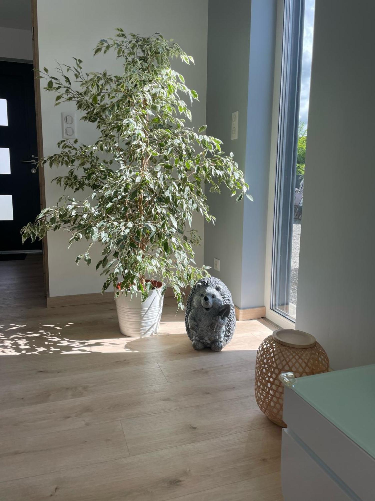 Maison Spacieuse Proche Strasbourg 오스트발트 외부 사진